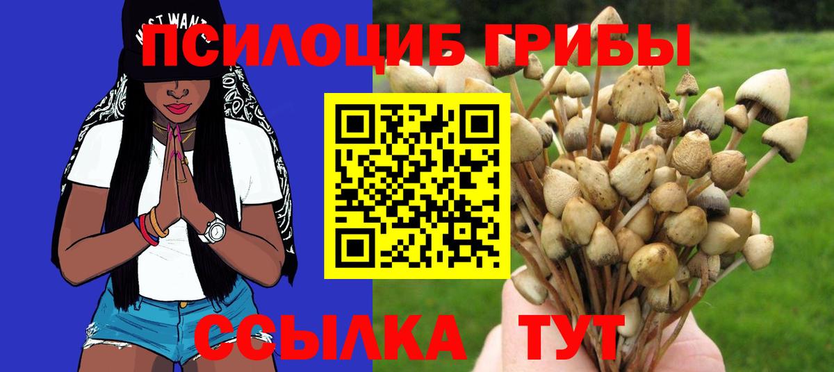 Галлюциногенные грибы Psilocybine cubensis  Вход с VPN  цены   Барабинск 