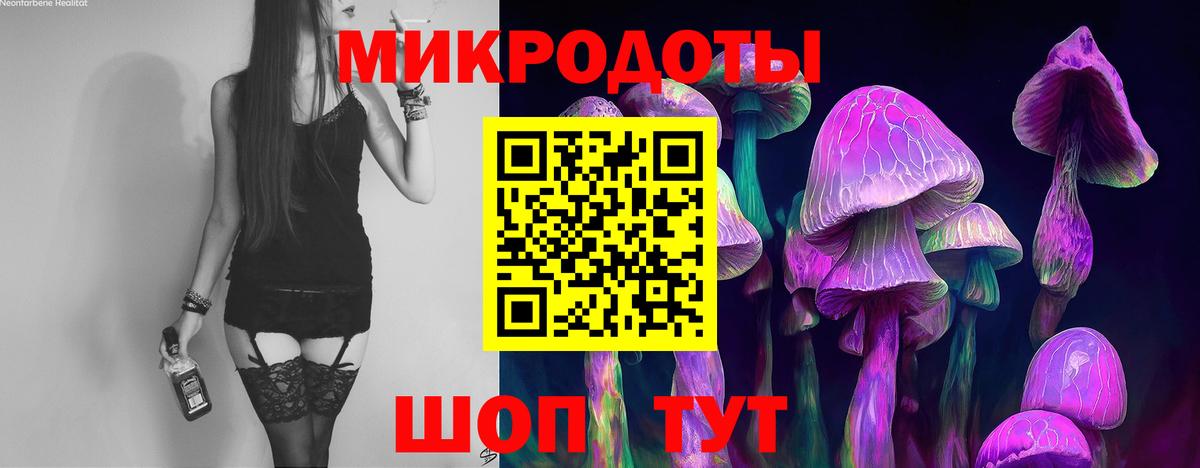 Галлюциногенные грибы мухоморы Барабинск